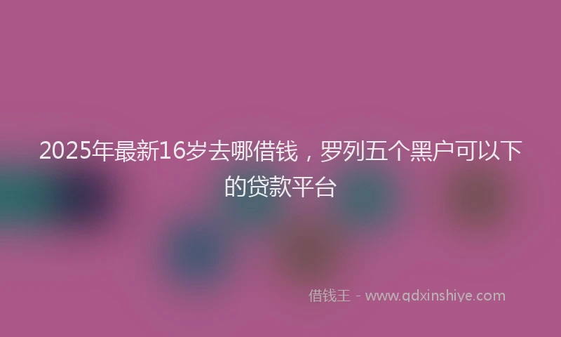 2025年最新16岁去哪借钱，罗列五个黑户可以下的贷款平台