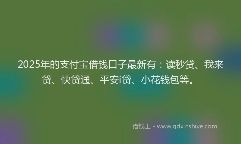 2025年的支付宝借钱口子最新有：读秒贷、我来贷、快贷通、平安i贷、小花钱包等。