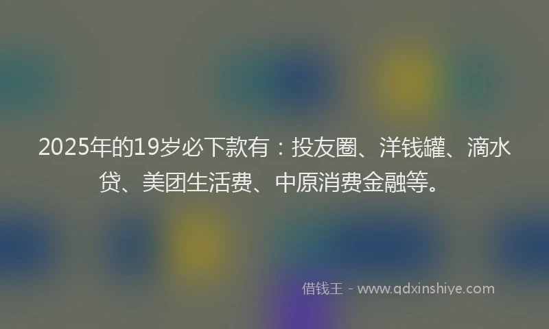 2025年的19岁必下款有：投友圈、洋钱罐、滴水贷、美团生活费、中原消费金融等。