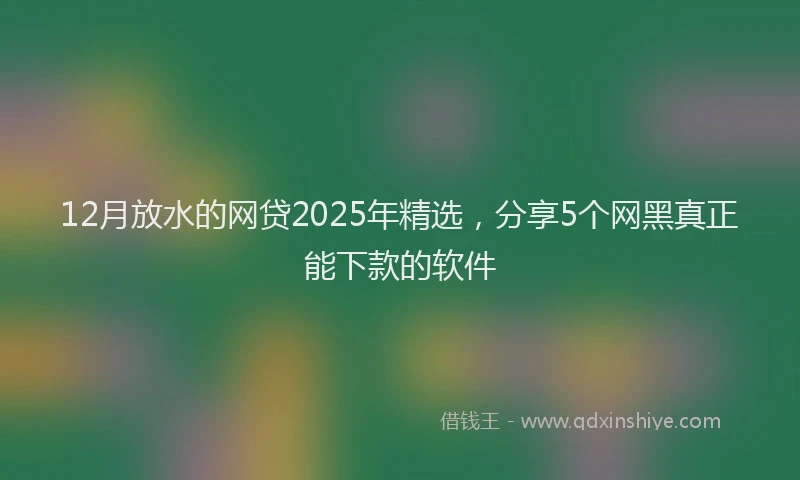 12月放水的网贷2025年精选，分享5个网黑真正能下款的软件