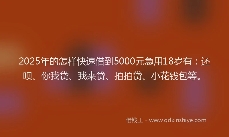 2025年的怎样快速借到5000元急用18岁有：还呗、你我贷、我来贷、拍拍贷、小花钱包等。