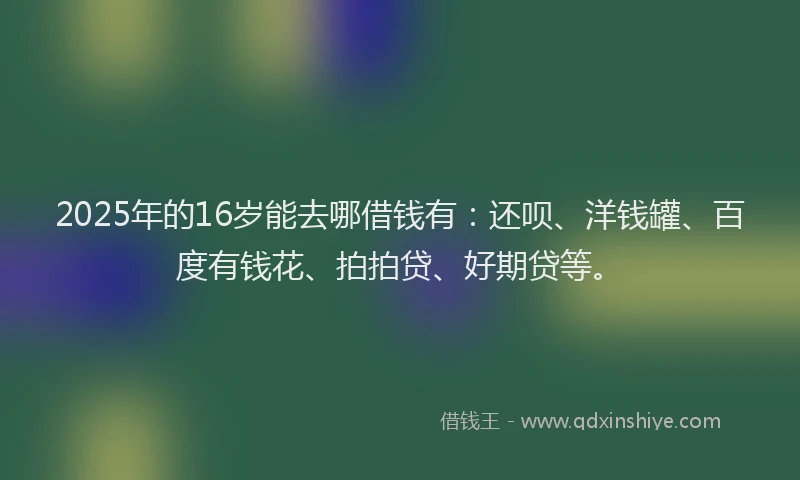2025年的16岁能去哪借钱有：还呗、洋钱罐、百度有钱花、拍拍贷、好期贷等。