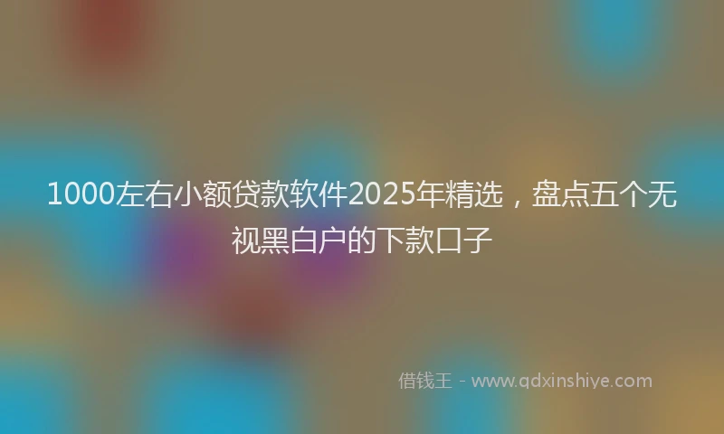 1000左右小额贷款软件2025年精选，盘点五个无视黑白户的下款口子