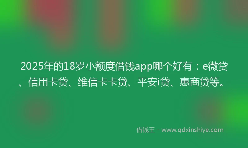 2025年的18岁小额度借钱app哪个好有:e微贷、信用卡贷、维信卡卡贷、平安i贷、惠商贷等。
