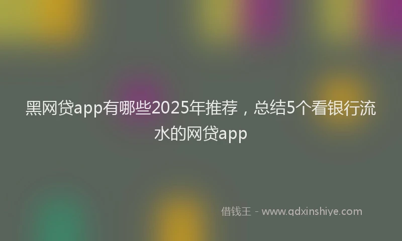 黑网贷app有哪些2025年推荐，总结5个看银行流水的网贷app