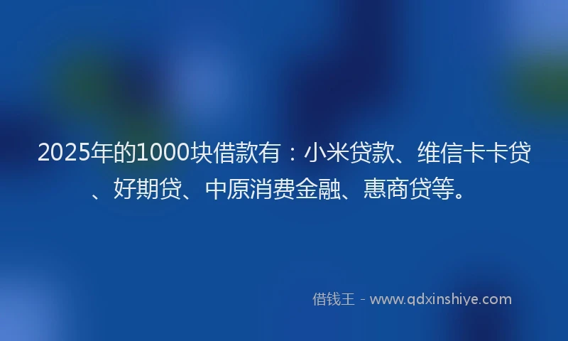 2025年的1000块借款有：小米贷款、维信卡卡贷、好期贷、中原消费金融、惠商贷等。