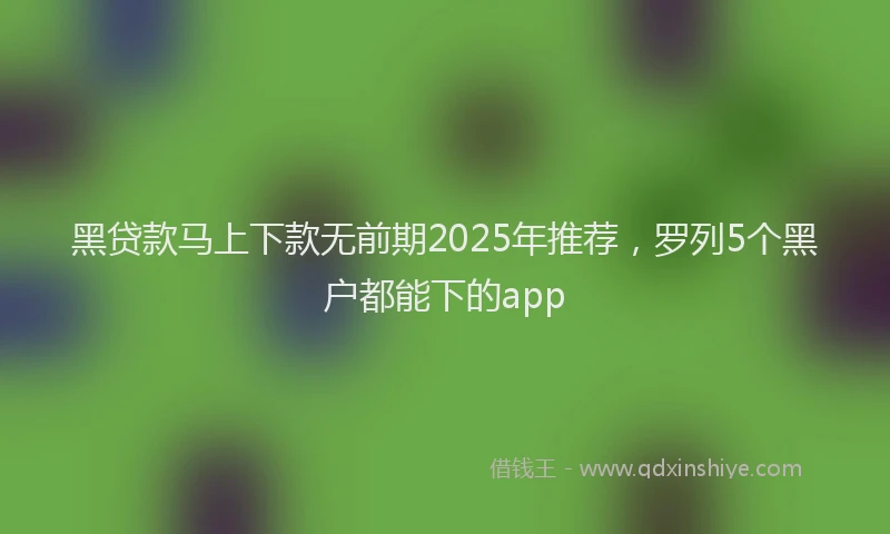 黑贷款马上下款无前期2025年推荐，罗列5个黑户都能下的app