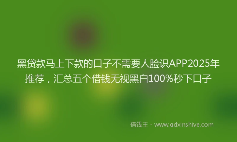 黑贷款马上下款的口子不需要人脸识APP2025年推荐，汇总五个借钱无视黑白100%秒下口子