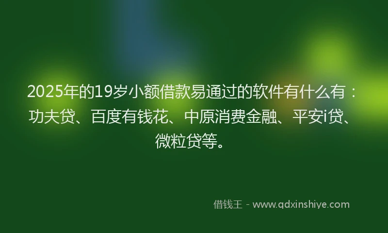2025年的19岁小额借款易通过的软件有什么有：功夫贷、百度有钱花、中原消费金融、平安i贷、微粒贷等。