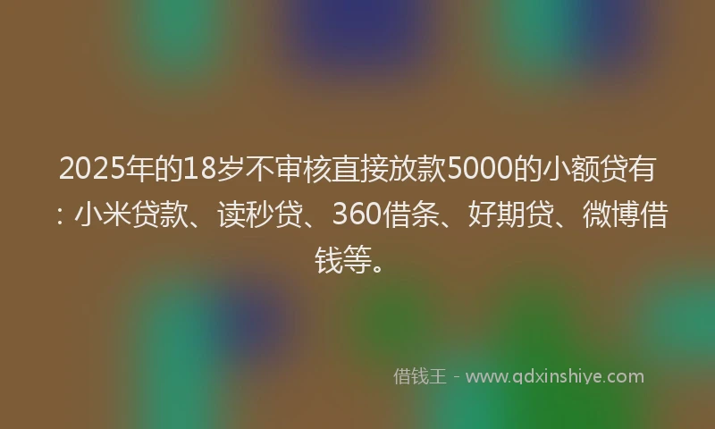 2025年的18岁不审核直接放款5000的小额贷有：小米贷款、读秒贷、360借条、好期贷、微博借钱等。