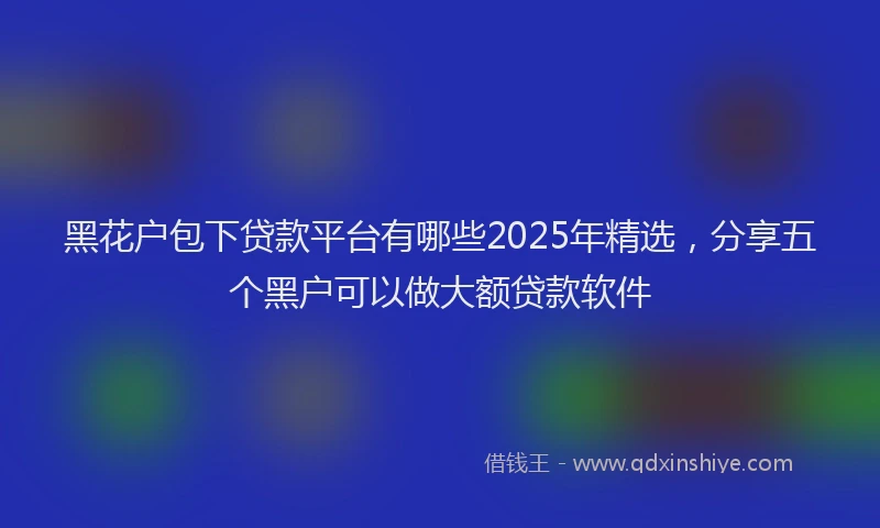 黑花户包下贷款平台有哪些2025年精选，分享五个黑户可以做大额贷款软件
