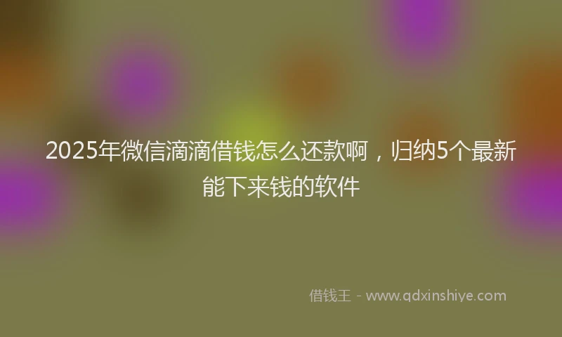 2025年微信滴滴借钱怎么还款啊，归纳5个最新能下来钱的软件