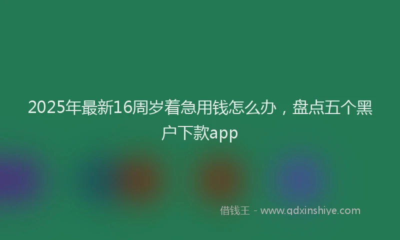 2025年最新16周岁着急用钱怎么办，盘点五个黑户下款app