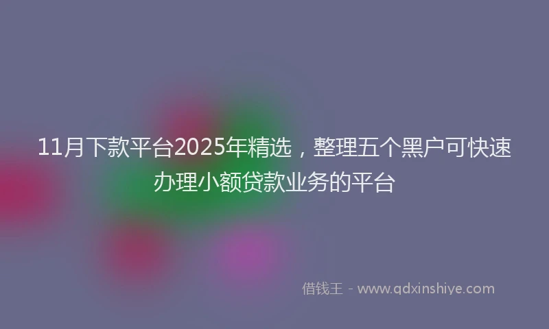 11月下款平台2025年精选，整理五个黑户可快速办理小额贷款业务的平台
