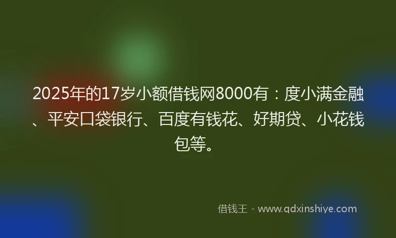 2025年的17岁小额借钱网8000有：度小满金融、平安口袋银行、百度有钱花、好期贷、小花钱包等。