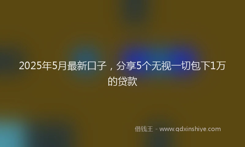 2025年5月最新口子，分享5个无视一切包下1万的贷款