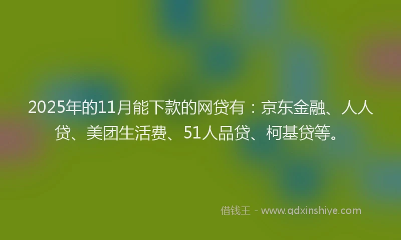 2025年的11月能下款的网贷有：京东金融、人人贷、美团生活费、51人品贷、柯基贷等。