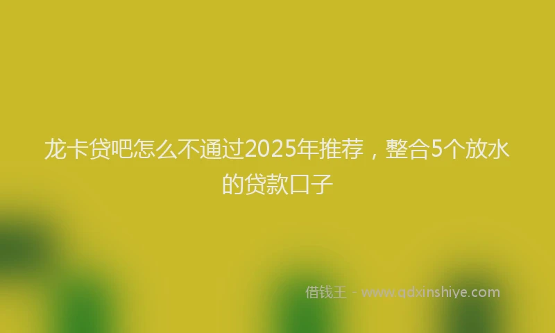 龙卡贷吧怎么不通过2025年推荐，整合5个放水的贷款口子