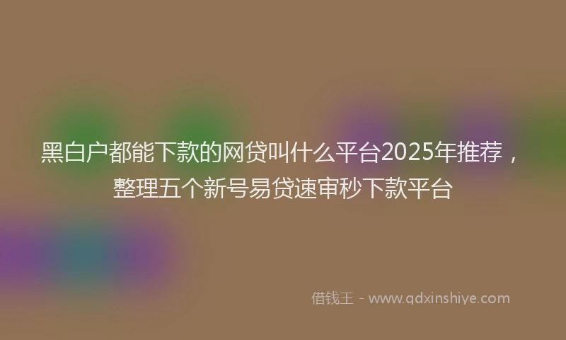 黑白户都能下款的网贷叫什么平台2025年推荐，整理五个新号易贷速审秒下款平台