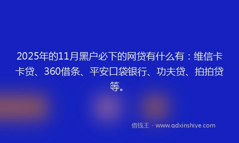 2025年的11月黑户必下的网贷有什么有：维信卡卡贷、360借条、平安口袋银行、功夫贷、拍拍贷等。