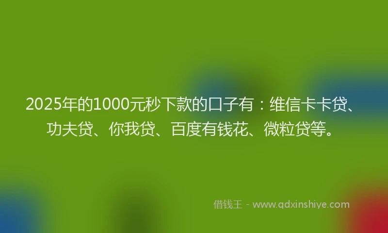 2025年的1000元秒下款的口子有：维信卡卡贷、功夫贷、你我贷、百度有钱花、微粒贷等。