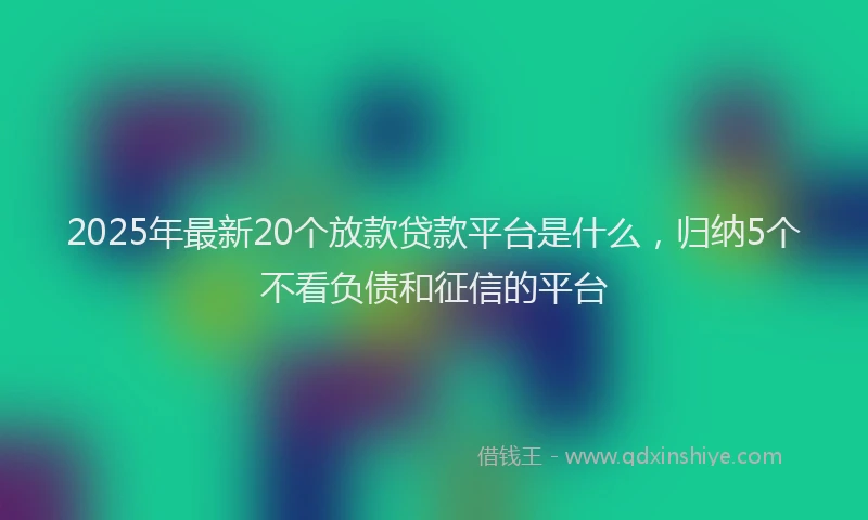 2025年最新20个放款贷款平台是什么，归纳5个不看负债和征信的平台