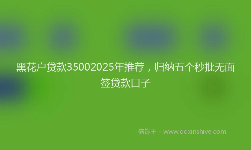 黑花户贷款35002025年推荐，归纳五个秒批无面签贷款口子