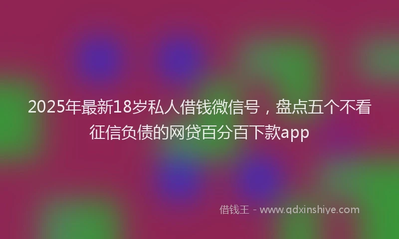 2025年最新18岁私人借钱微信号，盘点五个不看征信负债的网贷百分百下款app