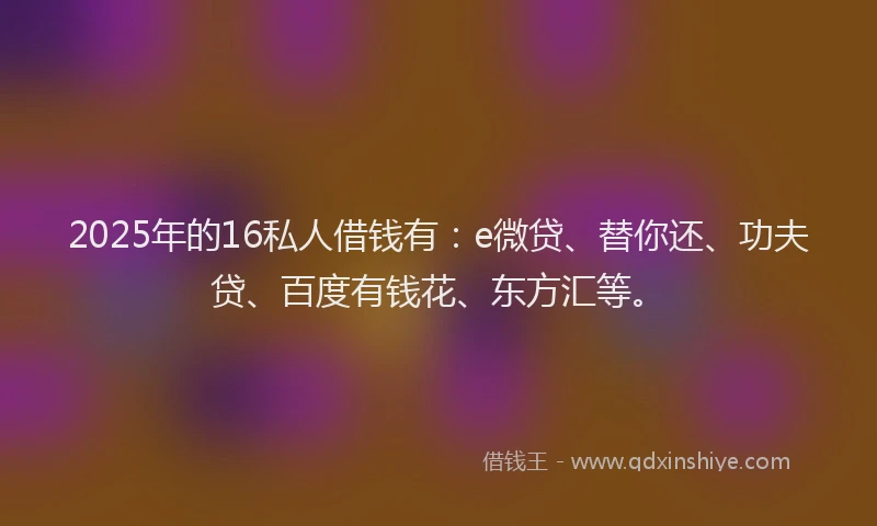 2025年的16私人借钱有：e微贷、替你还、功夫贷、百度有钱花、东方汇等。
