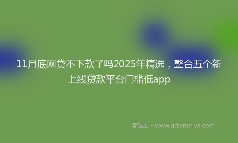 11月底网贷不下款了吗2025年精选，整合五个新上线贷款平台门槛低app