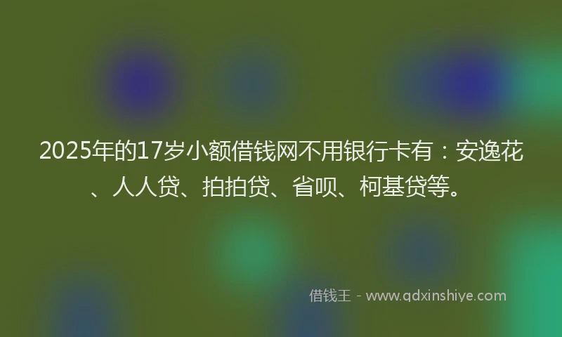 2025年的17岁小额借钱网不用银行卡有：安逸花、人人贷、拍拍贷、省呗、柯基贷等。