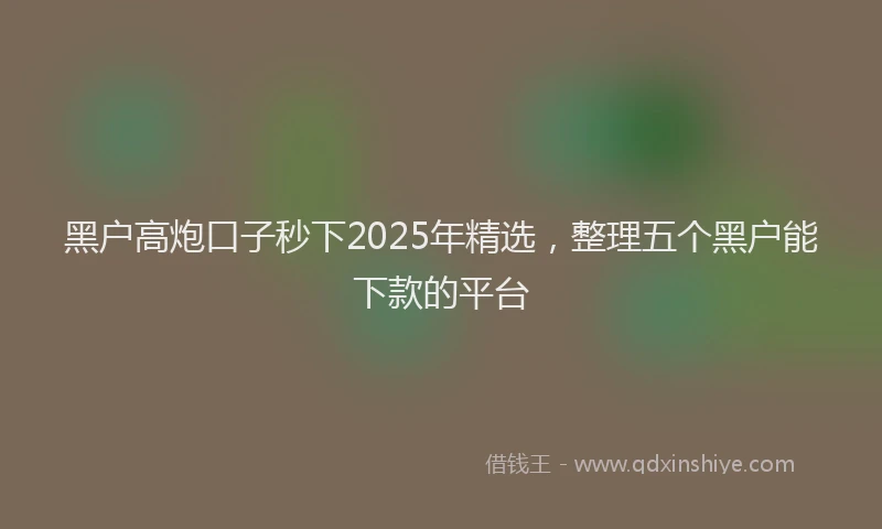 黑户高炮口子秒下2025年精选，整理五个黑户能下款的平台