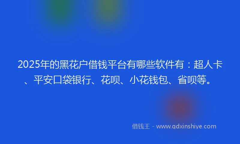 2025年的黑花户借钱平台有哪些软件有：超人卡、平安口袋银行、花呗、小花钱包、省呗等。