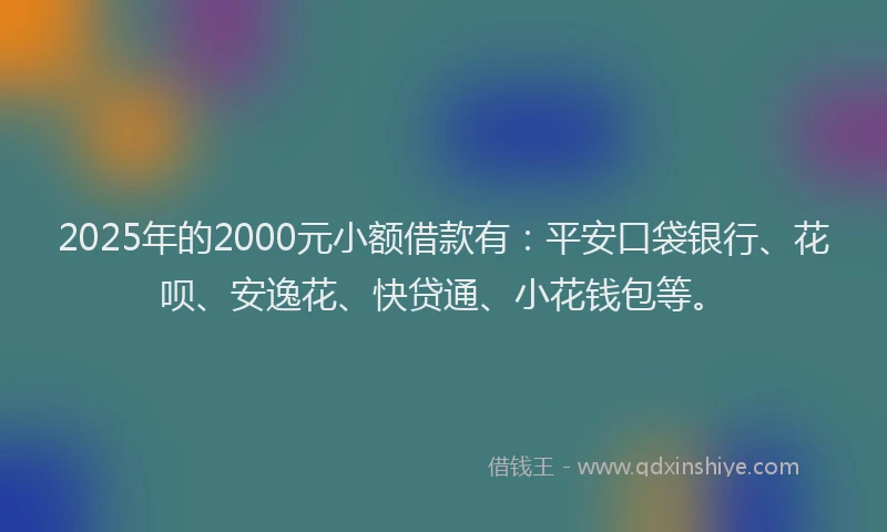 2025年的2000元小额借款有：平安口袋银行、花呗、安逸花、快贷通、小花钱包等。
