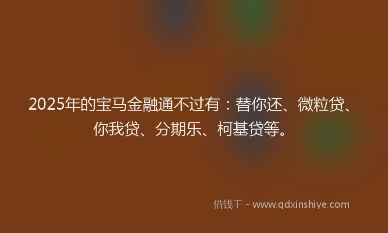 2025年的宝马金融通不过有：替你还、微粒贷、你我贷、分期乐、柯基贷等。