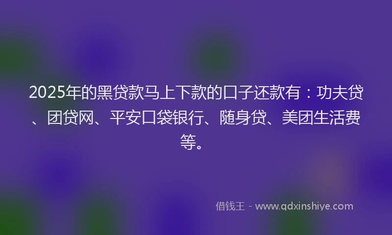 2025年的黑贷款马上下款的口子还款有：功夫贷、团贷网、平安口袋银行、随身贷、美团生活费等。