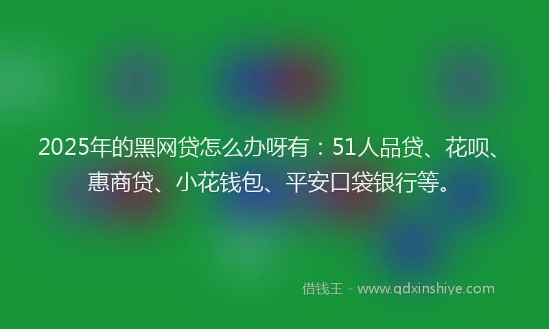 2025年的黑网贷怎么办呀有：51人品贷、花呗、惠商贷、小花钱包、平安口袋银行等。