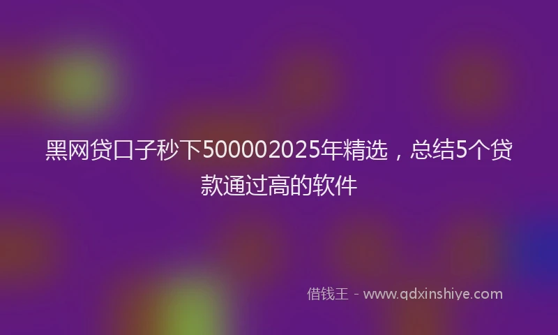 黑网贷口子秒下500002025年精选，总结5个贷款通过高的软件