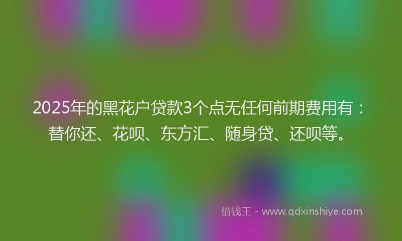 2025年的黑花户贷款3个点无任何前期费用有：替你还、花呗、东方汇、随身贷、还呗等。