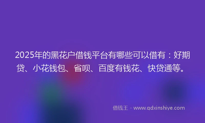 2025年的黑花户借钱平台有哪些可以借有：好期贷、小花钱包、省呗、百度有钱花、快贷通等。