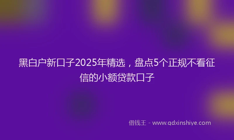 黑白户新口子2025年精选，盘点5个正规不看征信的小额贷款口子