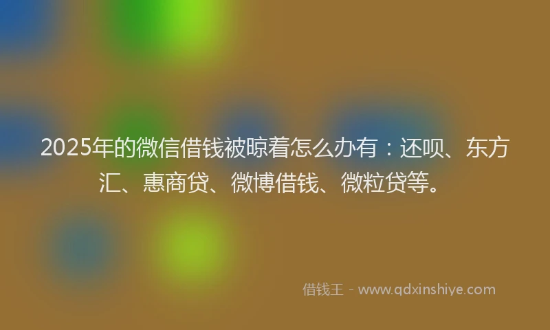 2025年的微信借钱被晾着怎么办有：还呗、东方汇、惠商贷、微博借钱、微粒贷等。