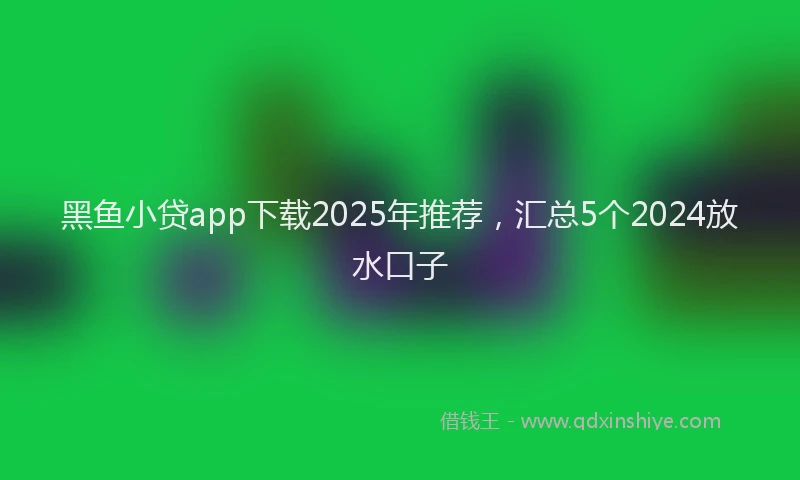 黑鱼小贷app下载2025年推荐，汇总5个2024放水口子