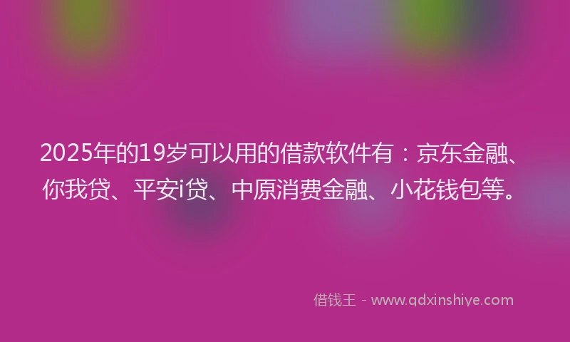 2025年的19岁可以用的借款软件有：京东金融、你我贷、平安i贷、中原消费金融、小花钱包等。