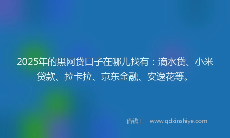 2025年的黑网贷口子在哪儿找有：滴水贷、小米贷款、拉卡拉、京东金融、安逸花等。