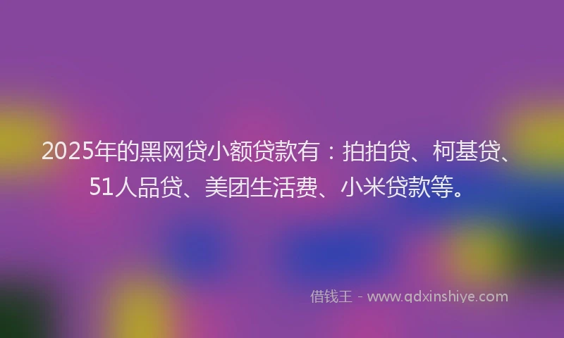 2025年的黑网贷小额贷款有：拍拍贷、柯基贷、51人品贷、美团生活费、小米贷款等。