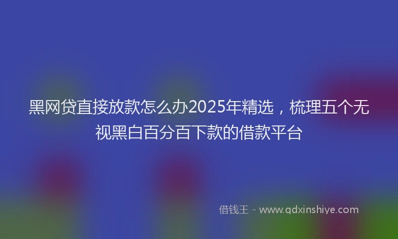 黑网贷直接放款怎么办2025年精选，梳理五个无视黑白百分百下款的借款平台