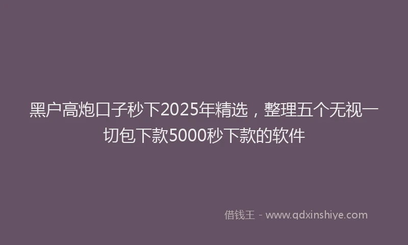 黑户高炮口子秒下2025年精选，整理五个无视一切包下款5000秒下款的软件