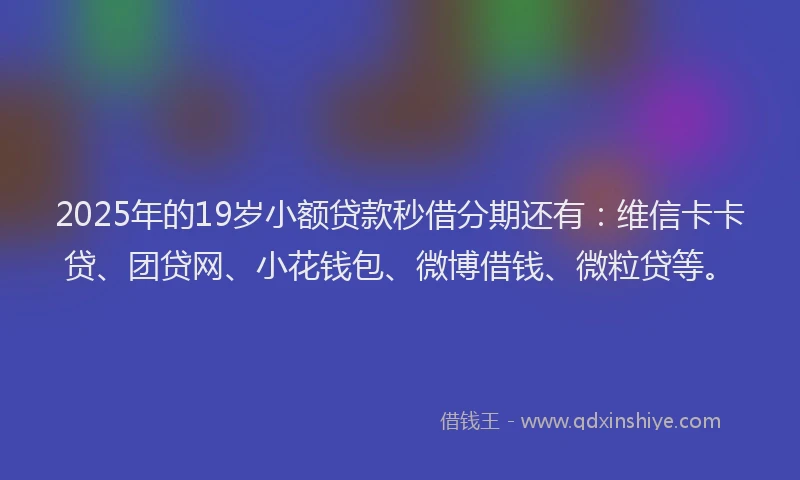 2025年的19岁小额贷款秒借分期还有：维信卡卡贷、团贷网、小花钱包、微博借钱、微粒贷等。