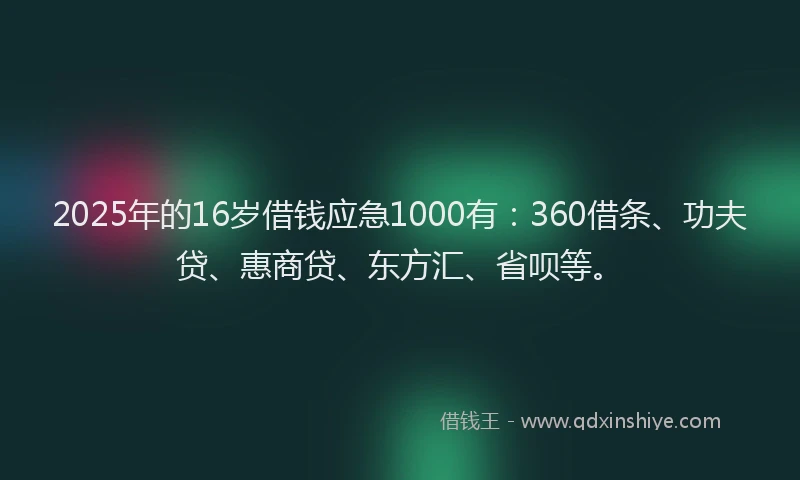 2025年的16岁借钱应急1000有：360借条、功夫贷、惠商贷、东方汇、省呗等。